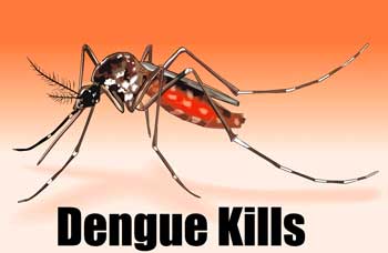 HEALTH-dengue-fever-signs-p