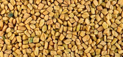 Methi