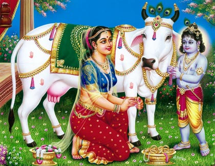 Krishna-with-cow